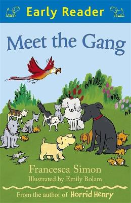 Meet the Gang book