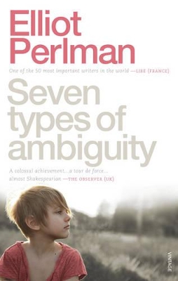 Seven Types of Ambiguity book