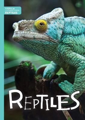 Reptiles book