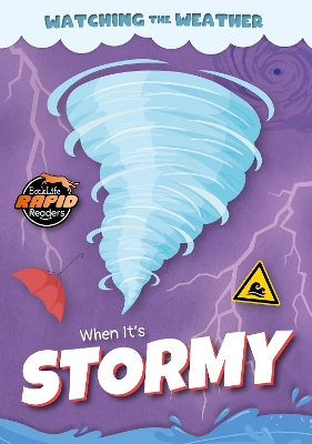 When It's Stormy book