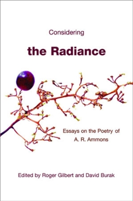 Considering the Radiance book