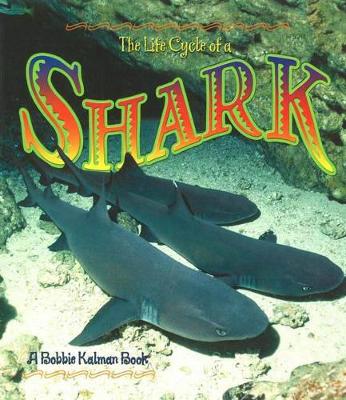 Life Cycle of a Shark book