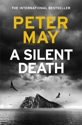 A Silent Death: The scorching new mystery thriller you won't put down book