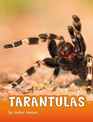 Tarantulas book
