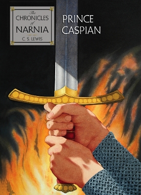 Prince Caspian book