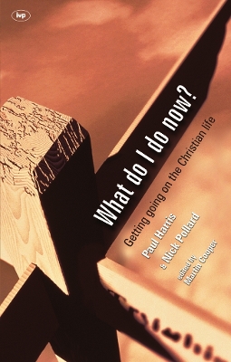 What Could I Do? book