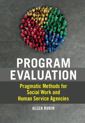 Program Evaluation: Pragmatic Methods for Social Work and Human Service Agencies book