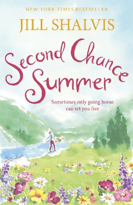 Second Chance Summer: Cedar Ridge 1 book