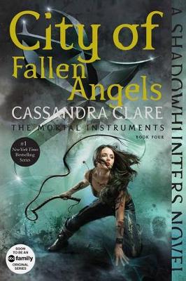 City of Fallen Angels book