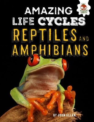 Reptiles and Amphibians - Amazing Life Cycles book