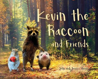 Kevin the Raccoon and Friends by John Harper