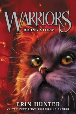 Warriors: #4 Rising Storm book