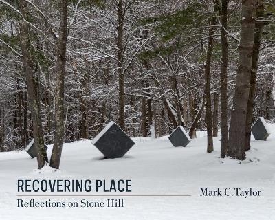 Recovering Place: Reflections on Stone Hill book