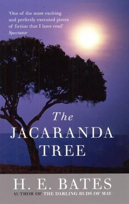 Jacaranda Tree book