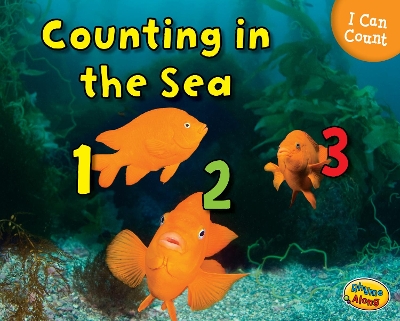 Counting in the Sea book