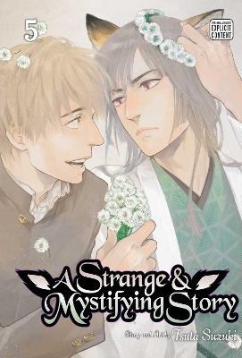 A Strange & Mystifying Story, Vol. 5 book