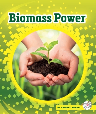 Biomass Power book