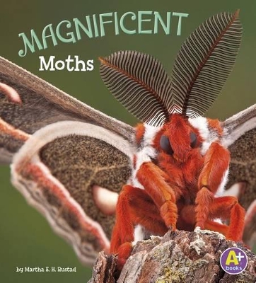 Magnificent Moths book