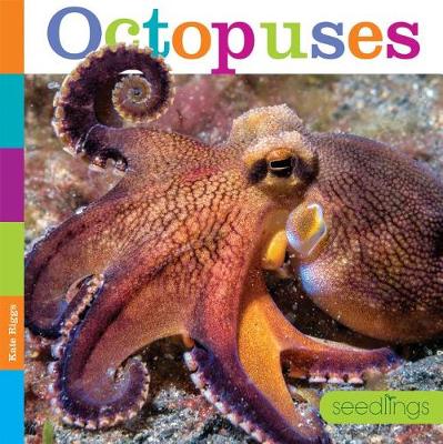 Seedlings: Octopuses by Kate Riggs