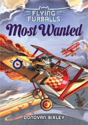 Flying Furballs 4 book