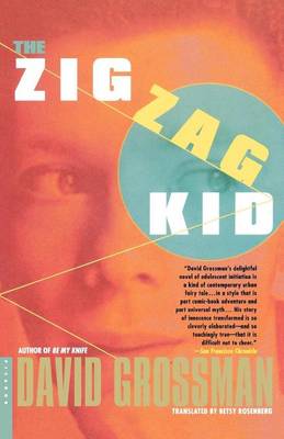 The Zig Zag Kid book