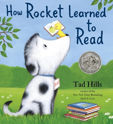 How Rocket Learned to Read book