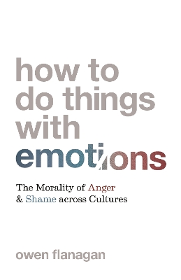 How to Do Things with Emotions: The Morality of Anger and Shame across Cultures book
