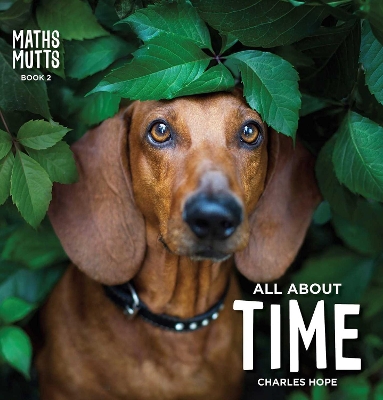 Maths Mutts: All About Time: Maths Mutts Book 2 book