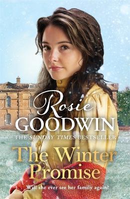 The Winter Promise: A perfect cosy Victorian saga from the Sunday Times bestselling author by Rosie Goodwin