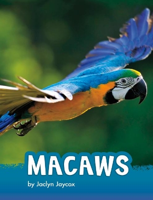 Macaws by Jaclyn Jaycox