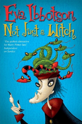 Not Just a Witch book