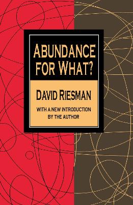 Abundance for What? book