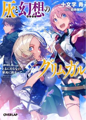 Grimgar of Fantasy and Ash Light Novel Vol. 6 book