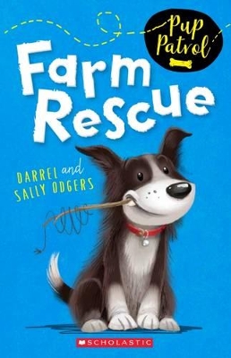 Pup Patrol: #1 Farm Rescue book