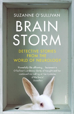 Brainstorm: Detective Stories From the World of Neurology book