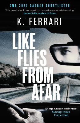 Like Flies from Afar by Adrian Nathan West