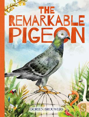The Remarkable Pigeon by Dorien Brouwers