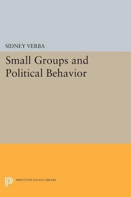 Small Groups and Political Behavior by Sidney Verba