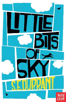 Little Bits of Sky book