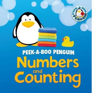 Numbers and Counting book