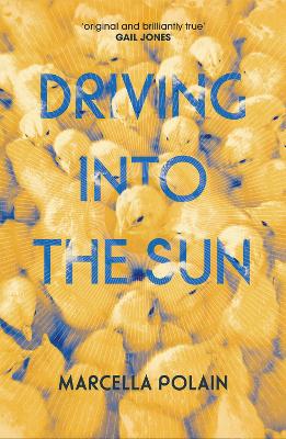 Driving into the Sun book