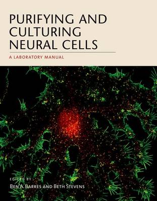 Purifying and Culturing Neural Cells by Ben A Barres