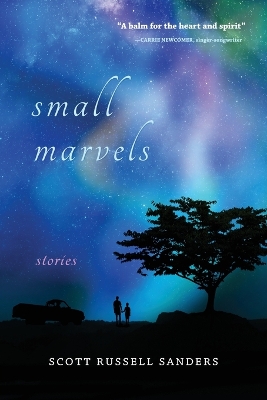 Small Marvels: Stories book