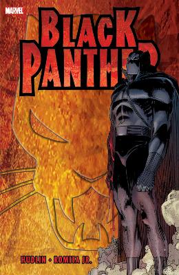 Black Panther: Who Is The Black Panther book