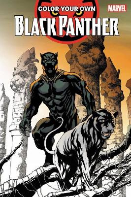 Color Your Own Black Panther book