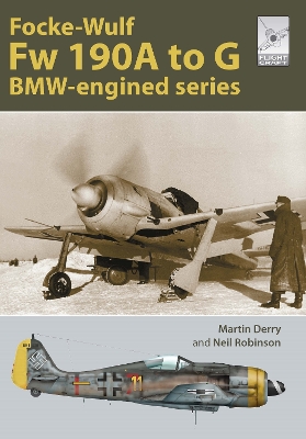 Flight Craft Special 2: The Focke-Wulf Fw 190: The A-G Series book