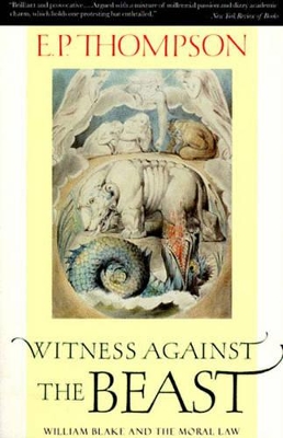Witness Against the Beast: William Blake and the Moral Law book