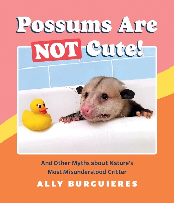 Possums Are Not Cute book