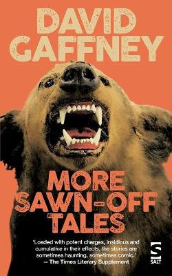 More Sawn-Off Tales by David Gaffney