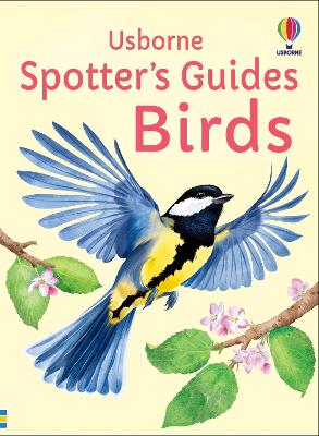 Spotter's Guides: Birds book